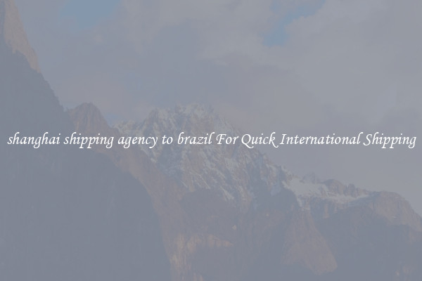 shanghai shipping agency to brazil For Quick International Shipping