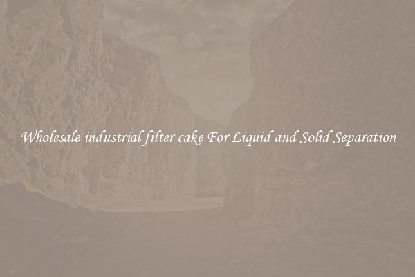 Wholesale industrial filter cake For Liquid and Solid Separation