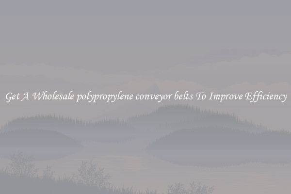 Get A Wholesale polypropylene conveyor belts To Improve Efficiency