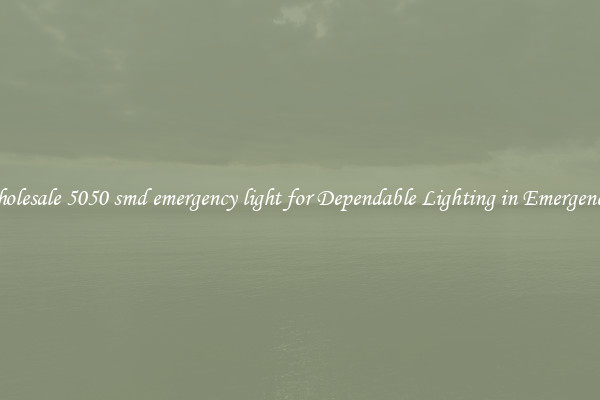 Wholesale 5050 smd emergency light for Dependable Lighting in Emergencies