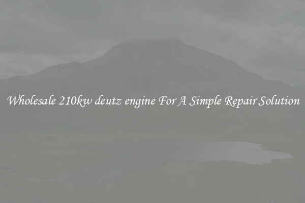 Wholesale 210kw deutz engine For A Simple Repair Solution