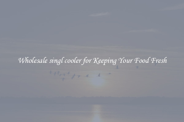 Wholesale singl cooler for Keeping Your Food Fresh