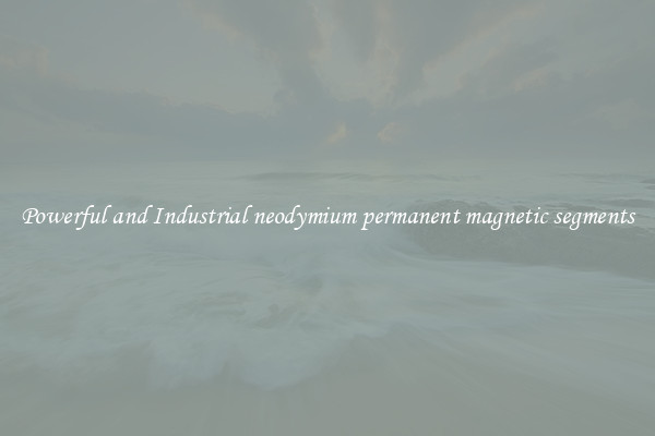 Powerful and Industrial neodymium permanent magnetic segments