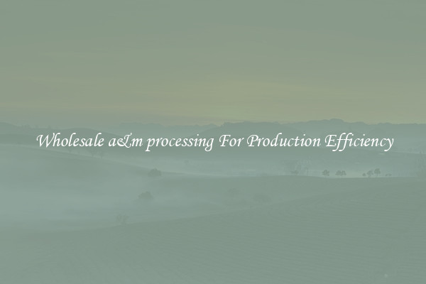Wholesale a&m processing For Production Efficiency