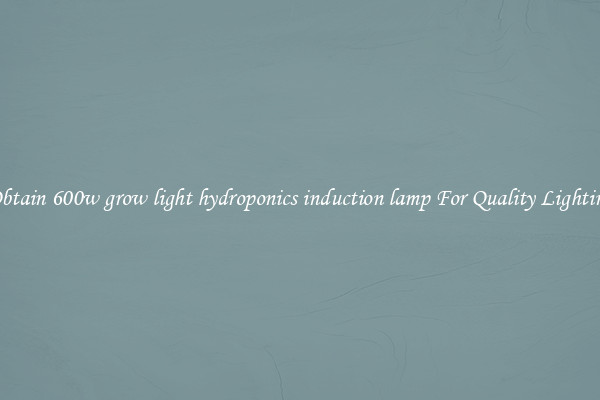 Obtain 600w grow light hydroponics induction lamp For Quality Lighting