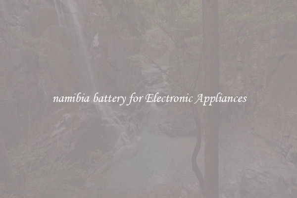 namibia battery for Electronic Appliances