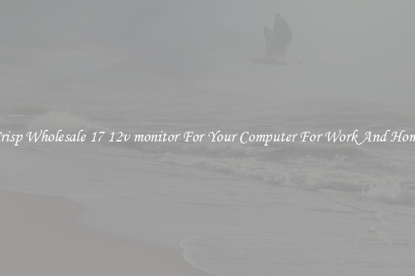 Crisp Wholesale 17 12v monitor For Your Computer For Work And Home