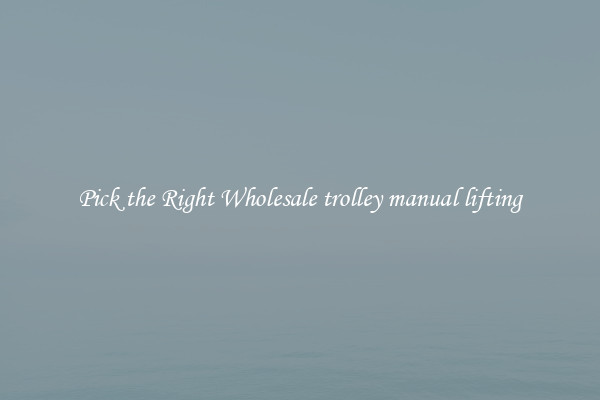 Pick the Right Wholesale trolley manual lifting