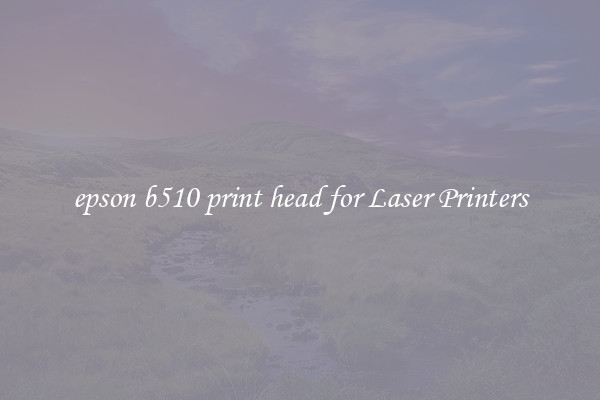epson b510 print head for Laser Printers