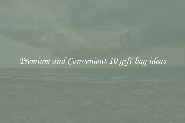 Premium and Convenient 10 gift bag ideas