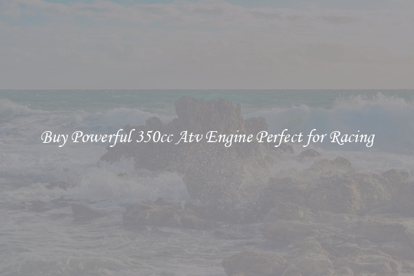 Buy Powerful 350cc Atv Engine Perfect for Racing