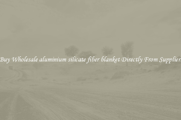 Buy Wholesale aluminium silicate fiber blanket Directly From Suppliers