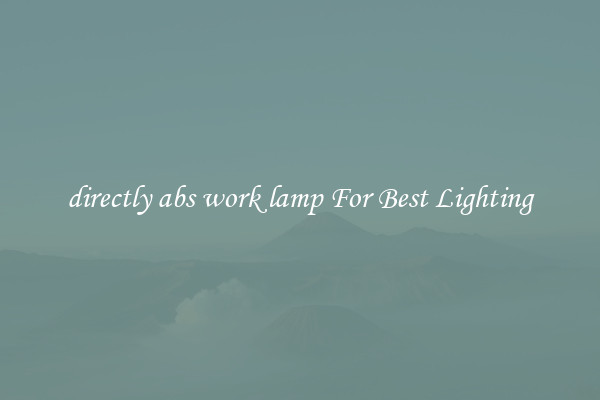 directly abs work lamp For Best Lighting