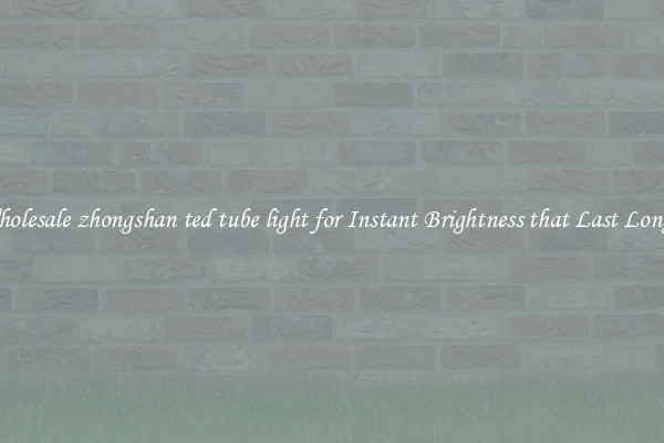Wholesale zhongshan ted tube light for Instant Brightness that Last Longer