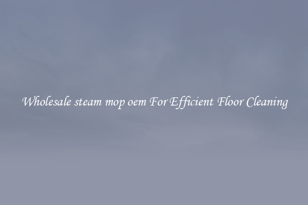 Wholesale steam mop oem For Efficient Floor Cleaning
