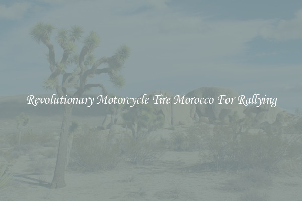 Revolutionary Motorcycle Tire Morocco For Rallying