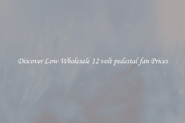 Discover Low Wholesale 12 volt pedestal fan Prices