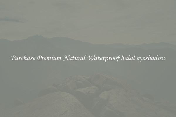 Purchase Premium Natural Waterproof halal eyeshadow